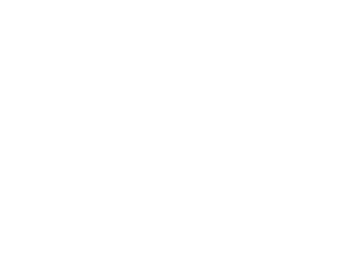 Nomad Logo
