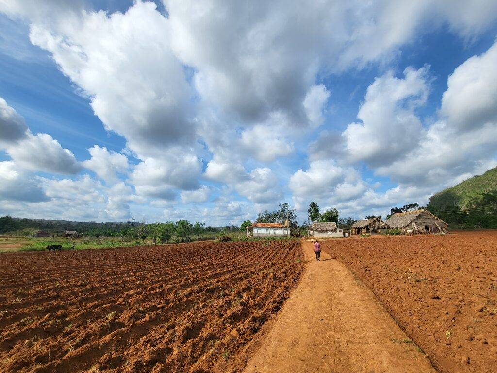 Small family farm and cigar plantation
Viñales Valley, Cuba