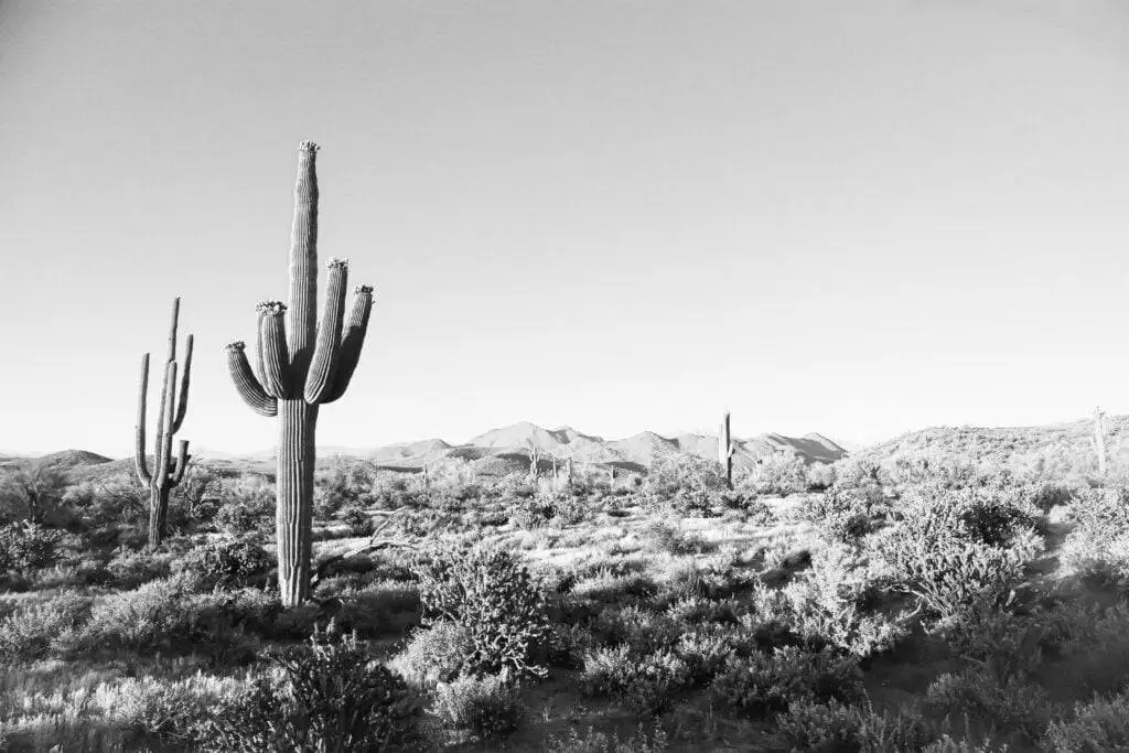 The Best Long Weekend Adventures From Phoenix 2 Phoenix