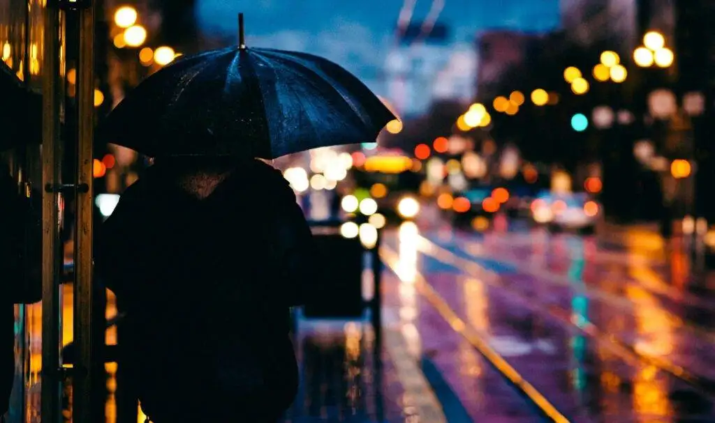 How To Spend Rainy Day In Vancouver: 8 Unforgettable Indoor Experiences 2