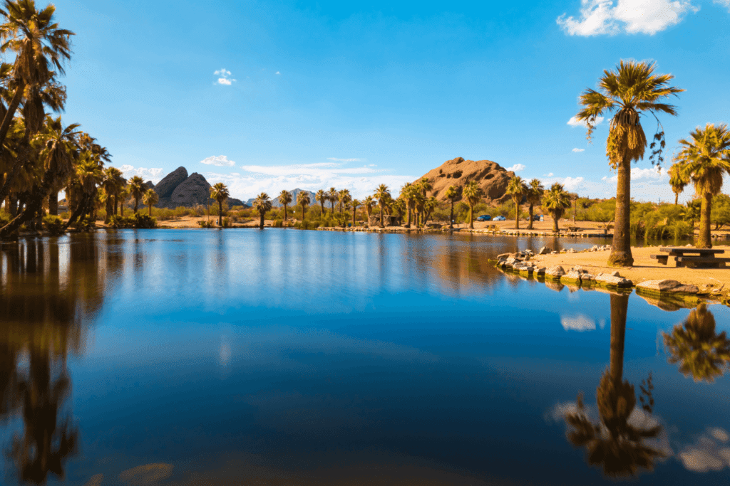 Downtown Phoenix: Your Ultimate Guide to the Best Things to See and Do 4 Phoenix, Papago Park