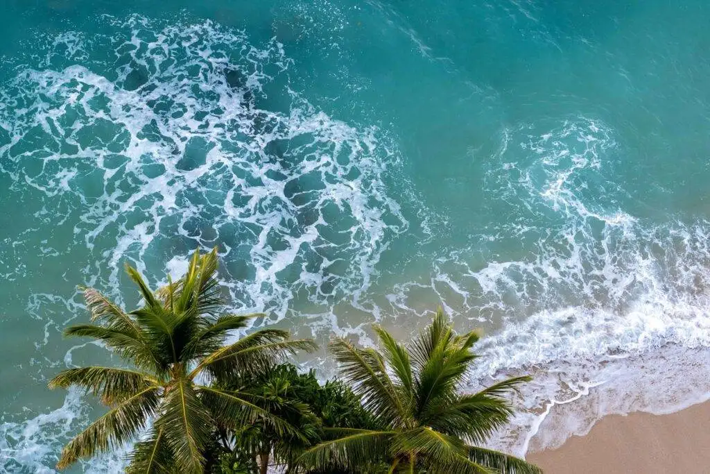 Your Complete Budget Guide To Hawaii: Everything You Need To Know For An Amazing Trip 4 Waikiki