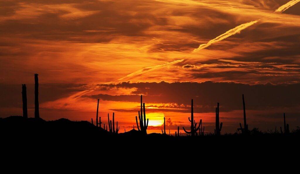 Downtown Phoenix: Your Ultimate Guide to the Best Things to See and Do 7 Phoenix, Sunset