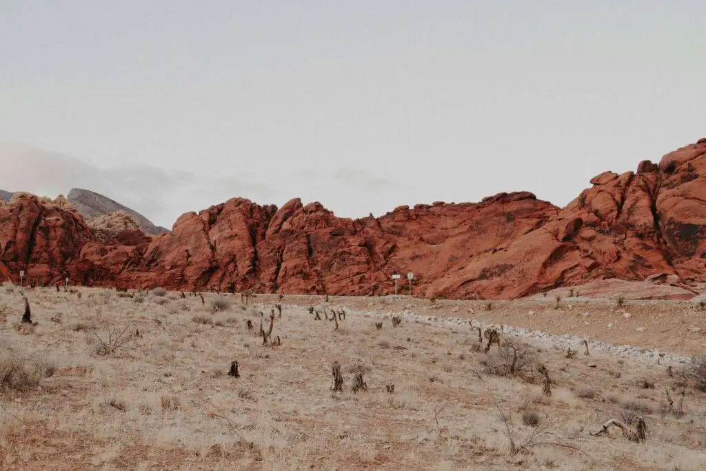 Las Vegas hike