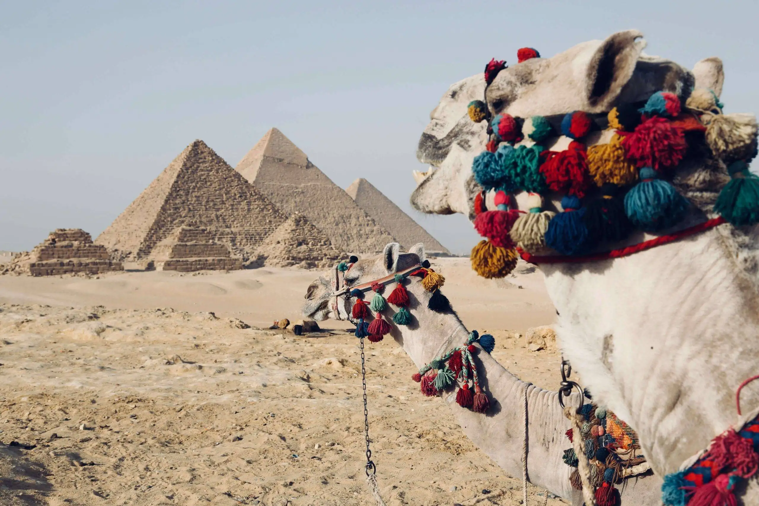 Pyramids, Giza