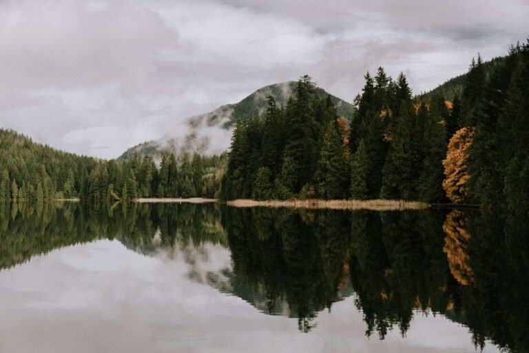 Vancouver Lakes