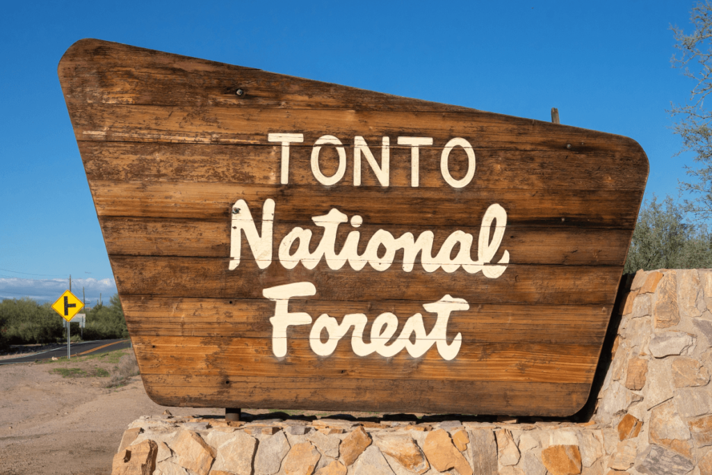 Uncover The Hidden Gems: Your Ultimate Payson, Arizona Travel Guide 5 Payson - Tonto Forest